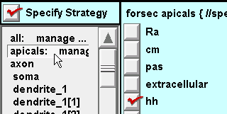 ../_images/apicalhx.gif
