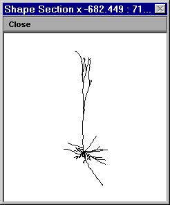 ../_images/shape.gif